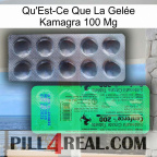 What Is Kamagra Jelly 100Mg new04